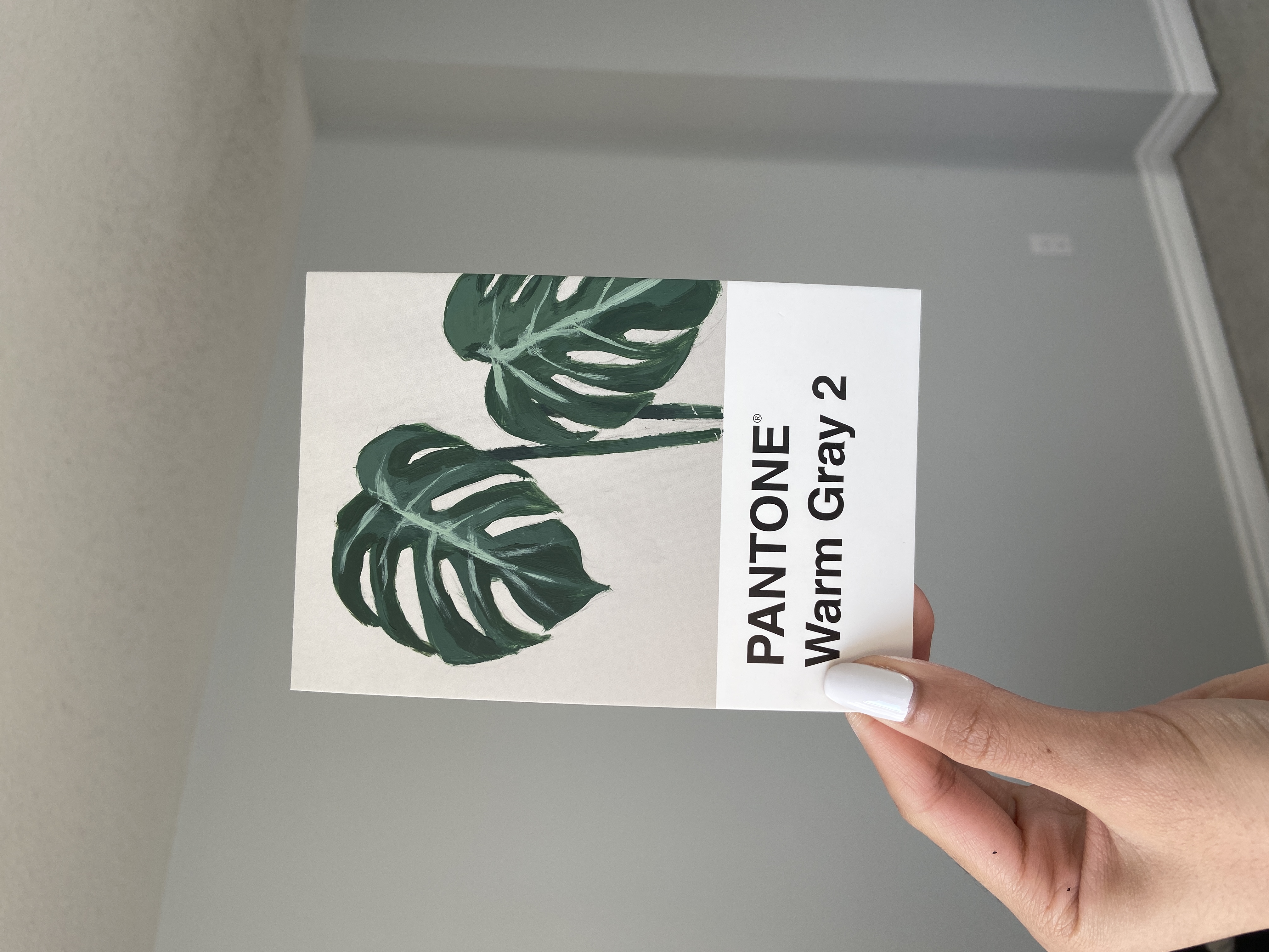 pantone warm gray 2.jpg